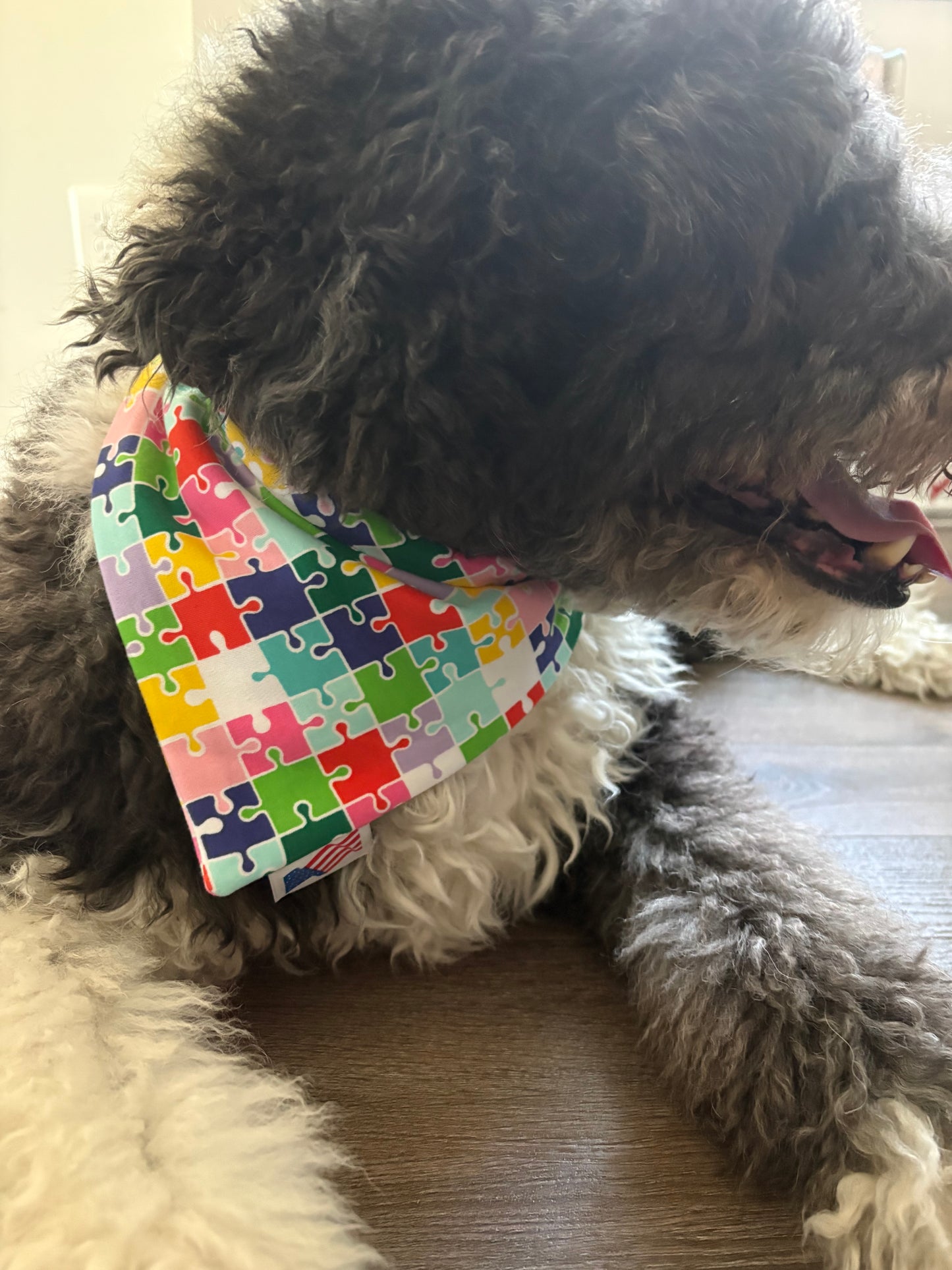 Puzzle Piece No Tie Bandana