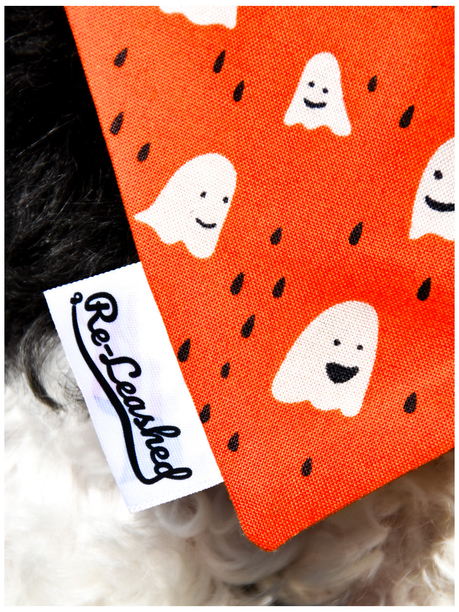 Spooky-PUP Collection