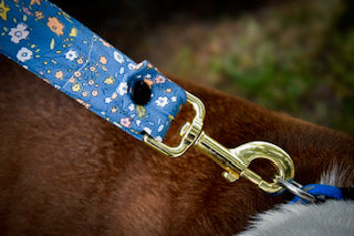 Bunny floral leash cover on leash clipped to dog collar against brown dog