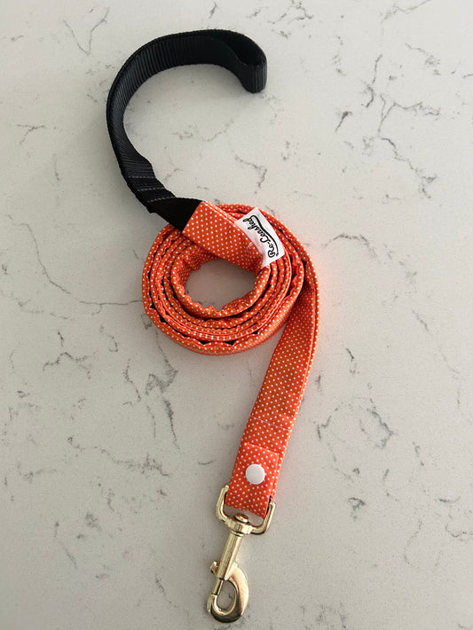 Orange Leash Cover