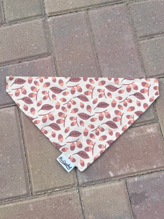 Acorn No Tie Bandana