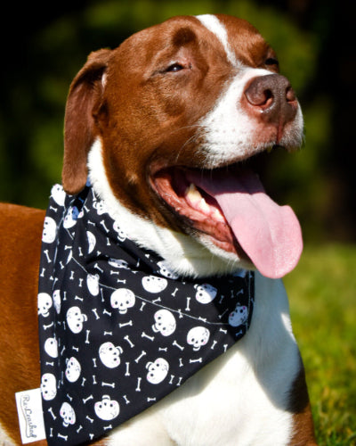 Skull & Bone No Tie Bandana