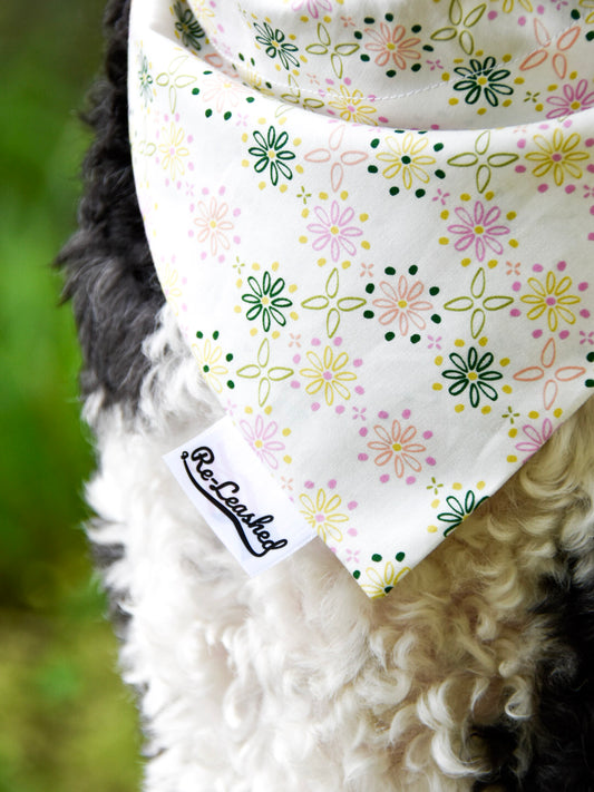 Spring bandana against black/white dog chest